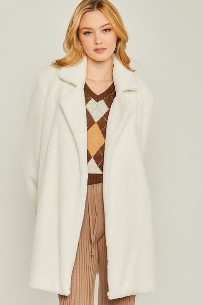 Woven Solid Teddy Collar Coat