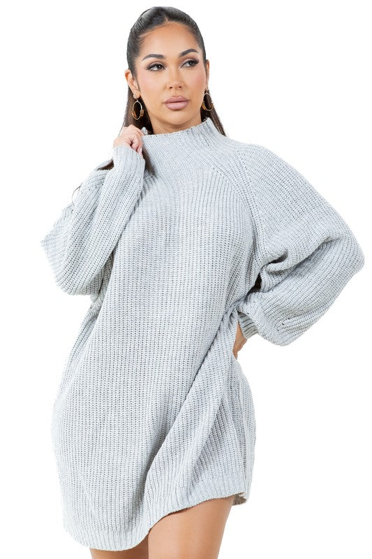 TURTLENECK SWEATER DRESS