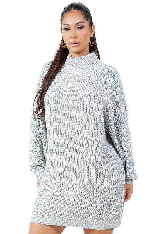 TURTLENECK SWEATER DRESS