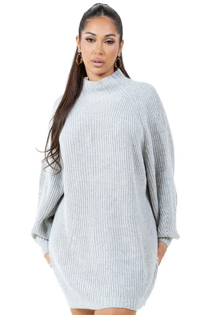 TURTLENECK SWEATER DRESS